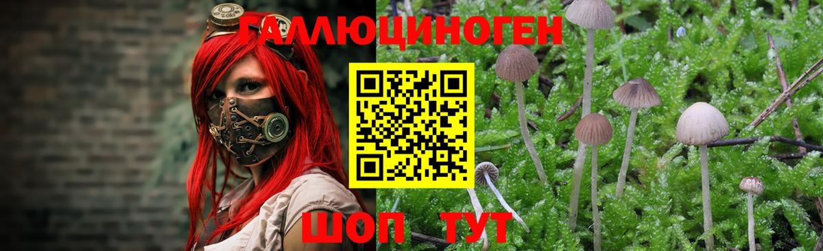 Псилоцибиновые грибы ЛСД Качканар