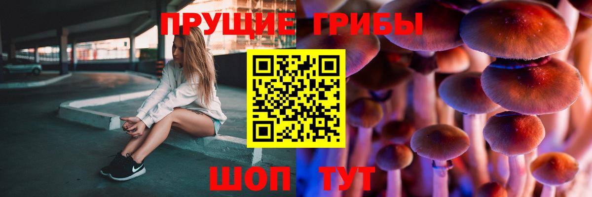 Галлюциногенные грибы Psilocybe  Галлюциногенные грибы прущие грибы  Качканар  Вход с VPN 